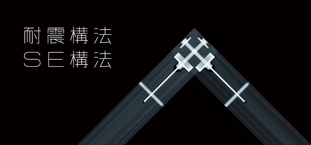 SE_9_renewal